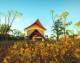 The Kimberleys Accommodation, Hotels and Apartments - Bungle Bungle Wilderness Lodge
