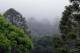 View
 - Bunya Mountains Accommodation Centre