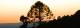 Sunset
 - Bunya Mountains Accommodation Centre