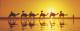 Camels at Sunset
 - Cable Beach Club Resort & Spa