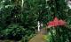 Cairns Botanical Gardens
 - Green Island & Cairns City Sights Cairns Discovery Tours