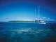 Cairns Tours, Cruises, Sightseeing and Touring - Ocean Free Sail to Green Island & GBR - ex Marina