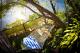 Calabash Bay Lodge - Hammock
 - Calabash Bay Lodge