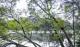 River View
 - Calabash Bay Lodge