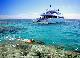 
 - Day Cruise to Great Barrier Reef - 3 Certified Dives Calypso Snorkel & Dive