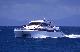 
 - Day Cruise to Great Barrier Reef - 2 Certified Dives Calypso Snorkel & Dive