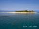 Reef & snorkellers around island
 - Calypso Half Day Tour to Low Isles - Afternoon Calypso Snorkel and Dive