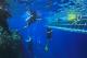 Divers & underwater platform
 - Day Cruise to Great Barrier Reef - 2 Certified Dives w/ TRF Calypso Snorkel and Dive