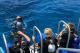 Port Douglas Tours, Cruises, Sightseeing and Touring - Day Cruise to Great Barrier Reef - Introductory Dive