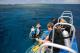 Small groups of up to 4 divers
 - Day Cruise to Great Barrier Reef - Introductory Dive w/ TRF Calypso Snorkel & Dive