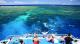 Back deck
 - Day Cruise to Great Barrier Reef - Snorkeller w/ Transfers Calypso Snorkel & Dive