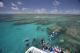 Reef off back of vessel
 - Day Cruise to Great Barrier Reef - Snorkeller w/ Transfers Calypso Snorkel & Dive