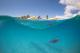 Turtle  - 2.5 Hour Dolphin Kayak Tour - Morning Cape Byron Kayaks