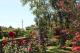 Spring time
 - Captains Lodge International