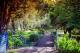 Path to beach
 - Caves House Hotel