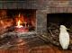 Fireplace area  - Cedar Park Rainforest Resort