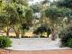 Olive grove with paddock views
 - Chambre Estate
