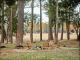 Fire pit for the cooler months
 - Chambre Estate