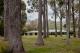 200 year old Marri Trees
 - Chambre Estate
