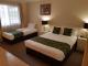 Twin Room
 - The Palms Motel
