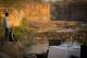 Unique dining experiences available
 - Cicada Lodge