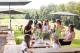 Sunshine Coast Tours, Cruises, Sightseeing and Touring - Sunshine Coast Hinterland Highlights Tour