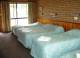 Standard Room  - Bayview Motor Inn