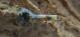 Straws forming over millions of years
 - Heritage & Hidden Treasures - Naracorte Caves & Yallum Pvt T Coonawarra Experiences