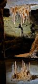 Mirror image of straws forming in the caves
 - Heritage & Hidden Treasures - Naracorte Caves & Yallum Pvt T Coonawarra Experiences