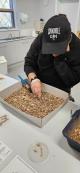 Find your own fossils in the research lab
 - Heritage & Hidden Treasures - Naracorte Caves & Yallum Pvt T Coonawarra Experiences