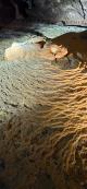 Stunning formations over millions of years
 - Coonawarra Unearthed - Full Day Wine Tour Coonawarra Experiences