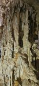Stalactites and Stalagmites joining together
 - Coonawarra Unearthed - Full Day Wine Tour Coonawarra Experiences