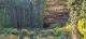 The Umpherston Sinkhole in Mt Gambier
 - Coonawarra Unearthed - Full Day Wine Tour Coonawarra Experiences