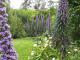 Caroline Hills Winery Gardens
 - Coonawarra Unearthed - Full Day Wine Tour Coonawarra Experiences