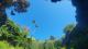 The Umpherston Sinkhole in Mt Gambier
 - Coonawarra Unearthed - Full Day Wine Tour Coonawarra Experiences