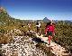 
 - Cradle Mountain Wilderness Village