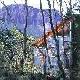 
 - Cradle Mountain Wilderness Village