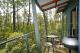 View from balcony
 - Cradle Mountain Wilderness Village