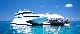 Queensland Islands and Whitsundays Tours, Cruises, Sightseeing and Touring - Great Barrier Reef Adventure - ex Hamilton Island