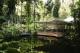 QLD Country Accommodation, Hotels and Apartments - Daintree Ecolodge