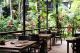 Julaymba
 - Daintree Ecolodge
