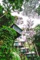 Canopy Bayan
 - Daintree Ecolodge
