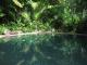 Pool
 - Daintree Rainforest Retreat Motel