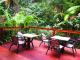 Dining Area
 - Daintree Rainforest Retreat Motel