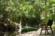 Raiforest Walk
 - Daintree Wilderness Lodge