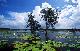 
 - Davidson's Arnhemland Safaris