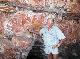 
 - Davidson's Arnhemland Safaris