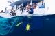 Snorkeller ReefQuest  - Great Barrier Reef Snorkel Day Trip Divers Den