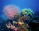 Queensland Tours, Cruises, Sightseeing and Touring - Evo Great Barrier Reef Cruise & 1 x Scuba Dive - ex Jetty