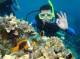Diving
 - Evolution Outer Reef + Heli Flight - Dive - ex Jetty Down Under Cruise and Dive